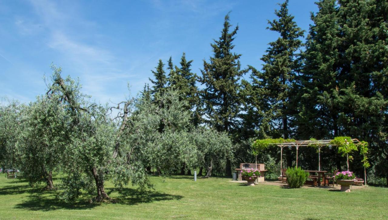 Agriturismo Podere La Casa 帕拉亚 外观 照片