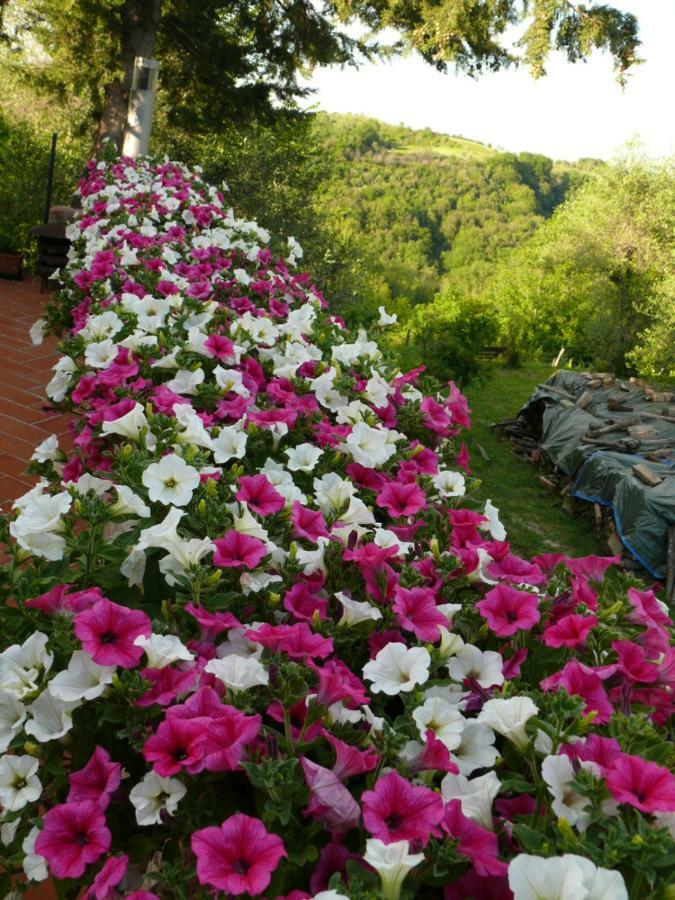 Agriturismo Podere La Casa 帕拉亚 外观 照片
